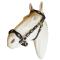 portugalska-uzdecka-cortesia-cob-hnedanikl_6314_11046.jpg